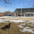 IMG-20250125-WA0010